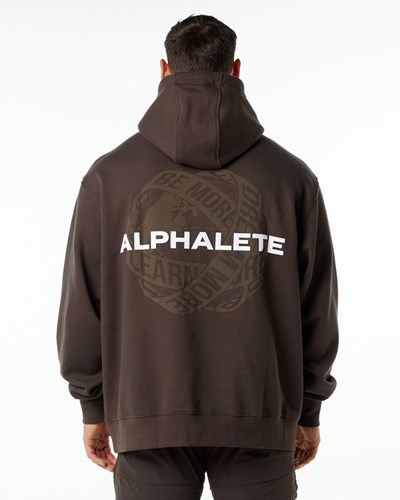 Alphalete Brushed Fleece Graphic Hoodie Braun | VP8425370