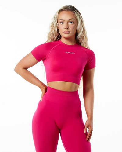 Alphalete Cropped Seamless Kurzes Sleeve Rosa | EC3716825