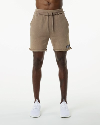 Alphalete Heavyweight Washed Terry Kurzes Smokey Quartz | PB5921430