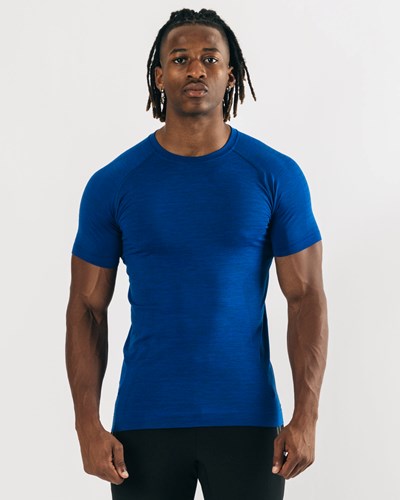 Alphalete High Performance Seamless Kurzes Sleeve Tee Blau | BI8042976