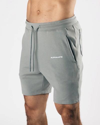 Alphalete Relaxed All-Purpose 8" Baumwoll Kurzes Grau | GB6075298