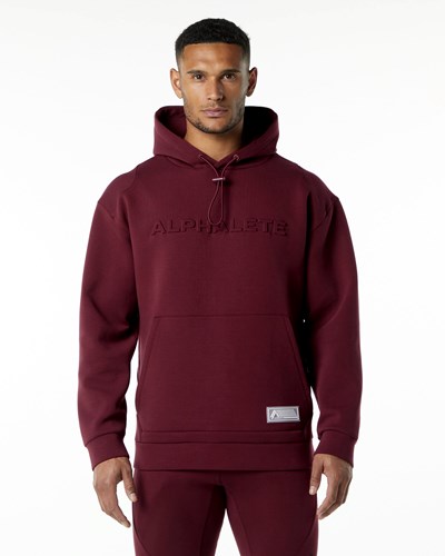 Alphalete Relaxed Interlock Knit Hoodie Bordeaux | KS3249176