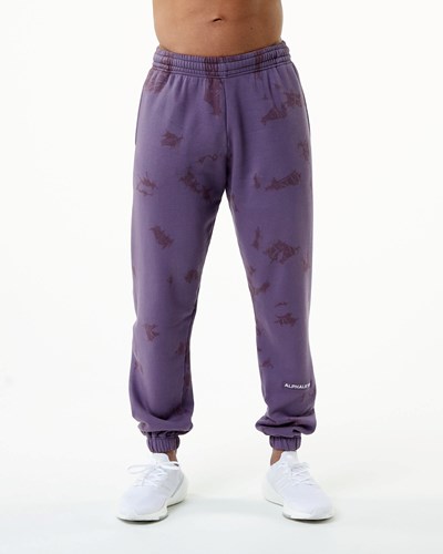 Alphalete Washed 31" Fleece Jogger Revolution | EZ6815397